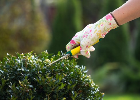 Landscaping complaint process overview with initial acknowledgment