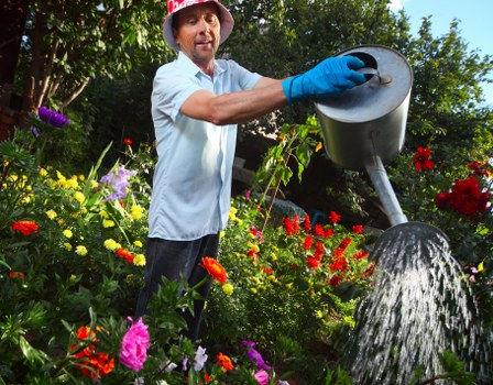 Resolving a landscaping service complaint through investigation