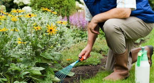 New lawn turf laid in neat rows in a Boundsgreen garden