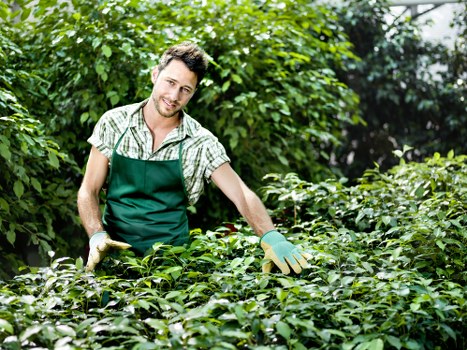 Worker safety and ethical labour commitment in landscaping operations