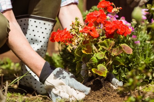 Garden maintenance quotation and scheduling documents on a table