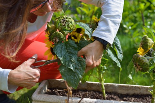 Final secure payment step for Landscaping Boundsgreen services